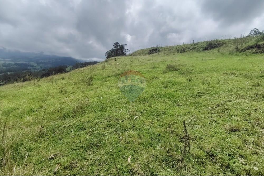 Residencial - Terreno - Cundinamarca, Pacho - CO - Imagen de WhatsApp 2025-03-27 a las 14.18.26_955e0ef1.jpg - 660541055-24