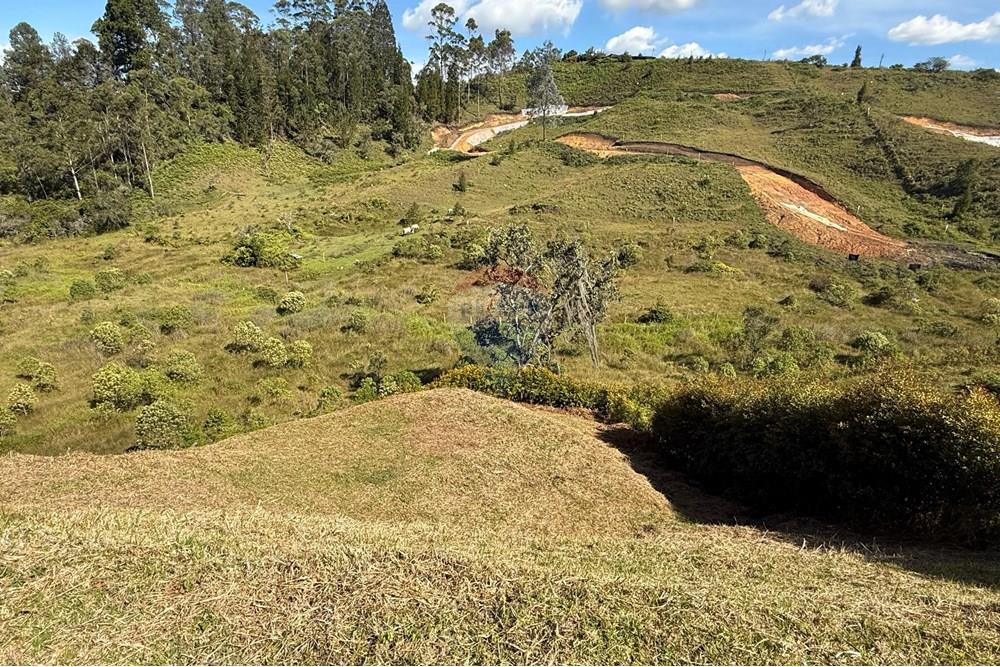 Residential - Land - Antioquia, Rionegro - CO - WhatsApp Image 2025-08-25 at 2.57.00 PM (5).jpeg - 660471155-450
