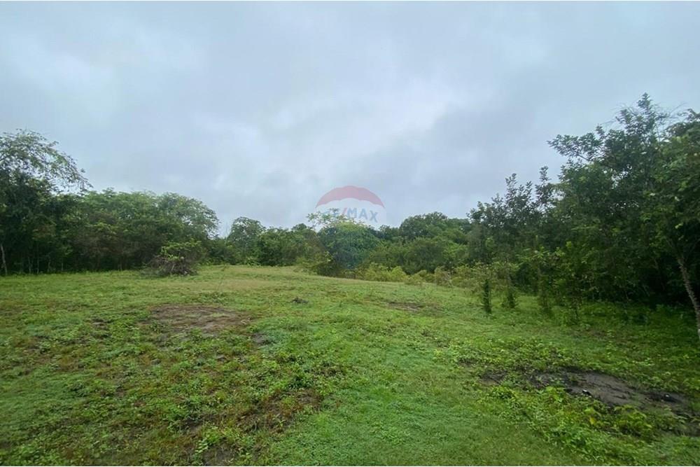 Residenční - Pozemek - Tolima, Guamo - CO - IMG-20250512-WA0003.jpg - 660361056-32