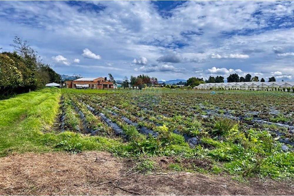 מסחרי - קרקע - Cundinamarca, El Rosal - CO - 5 Foto Lote El Rosal.jpg - 660271158-2