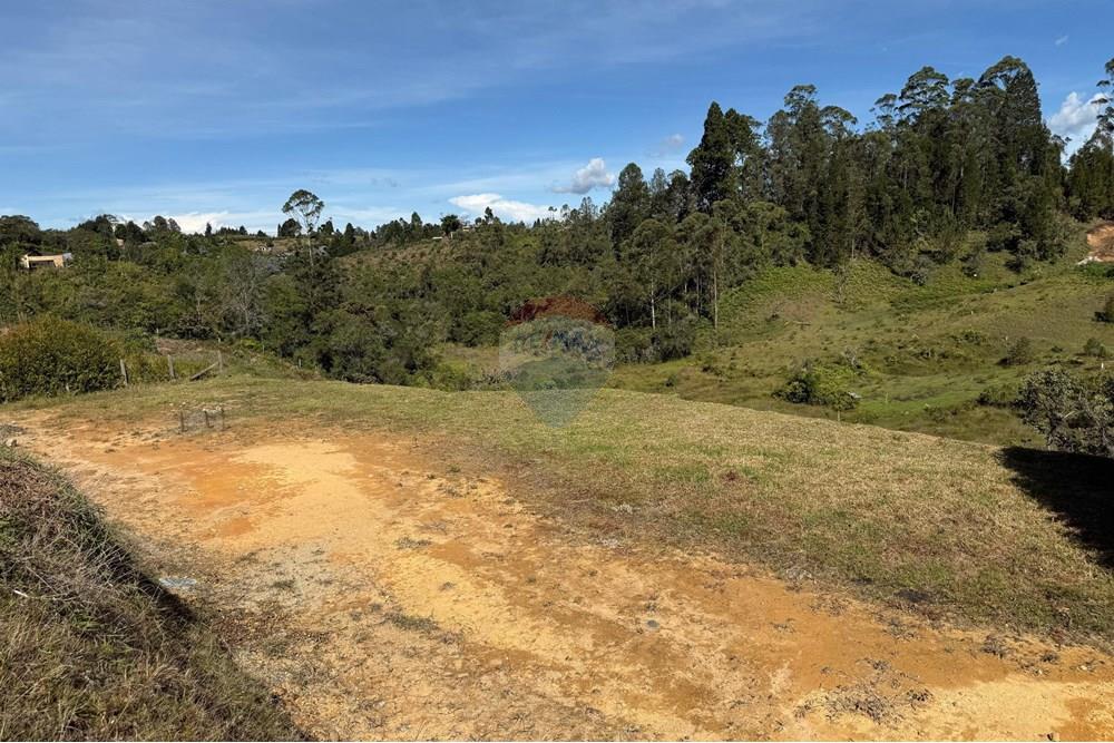 Residential - Land - Antioquia, Rionegro - CO - WhatsApp Image 2025-08-25 at 2.57.00 PM (1).jpeg - 660471155-450