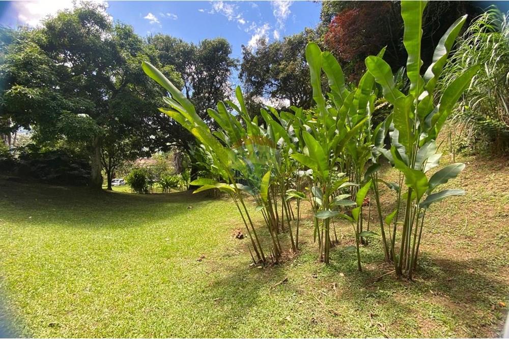 Residential - Farmhouse - Antioquia, Girardota - CO - WhatsApp Image 2025-10-05 at 2.02.14 PM (4).jpeg - 660471155-448