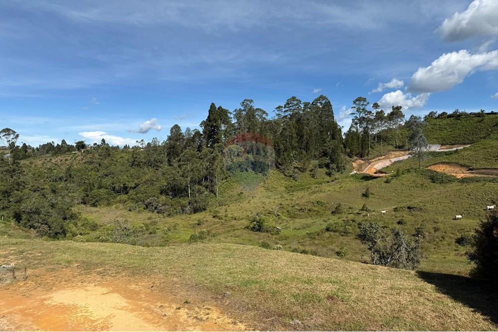Residential - Land - Antioquia, Rionegro - CO - WhatsApp Image 2025-08-25 at 2.57.00 PM (3).jpeg - 660471155-450
