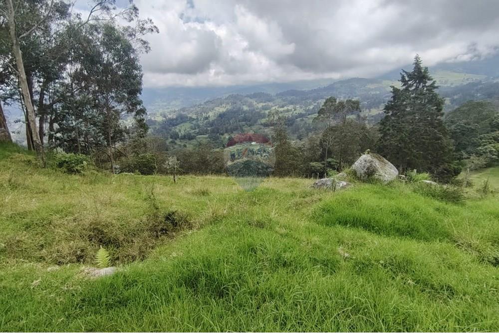 Residencial - Terreno - Cundinamarca, Pacho - CO - Imagen de WhatsApp 2025-03-27 a las 14.18.26_6d85a5ae.jpg - 660541055-24