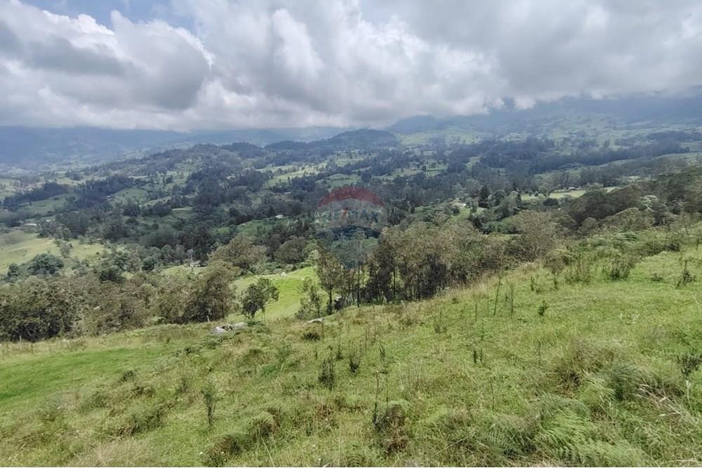 Residencial - Terreno - Cundinamarca, Pacho - CO - Imagen de WhatsApp 2025-03-27 a las 14.18.26_f058bcfd.jpg - 660541055-24