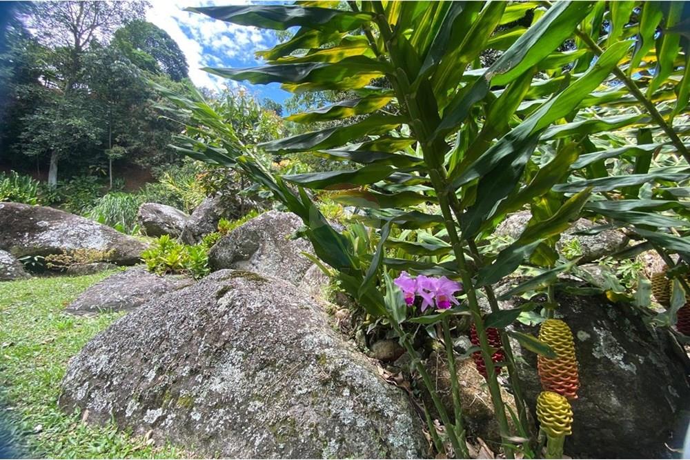 Residential - Farmhouse - Antioquia, Girardota - CO - WhatsApp Image 2025-10-05 at 2.02.14 PM (28).jpeg - 660471155-448