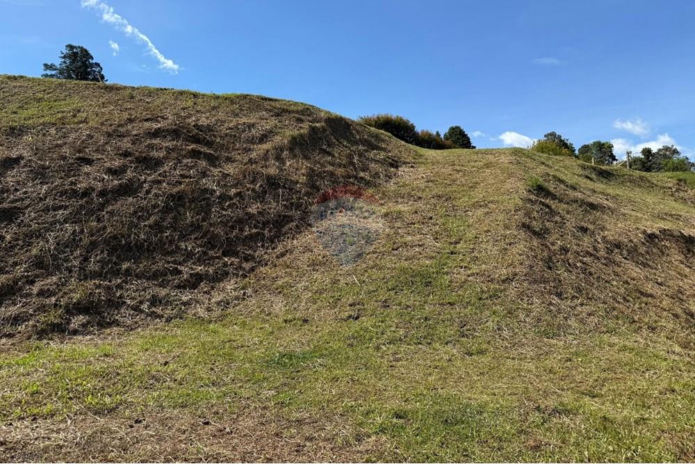 Residential - Land - Antioquia, Rionegro - CO - WhatsApp Image 2025-08-25 at 2.57.01 PM.jpeg - 660471155-450