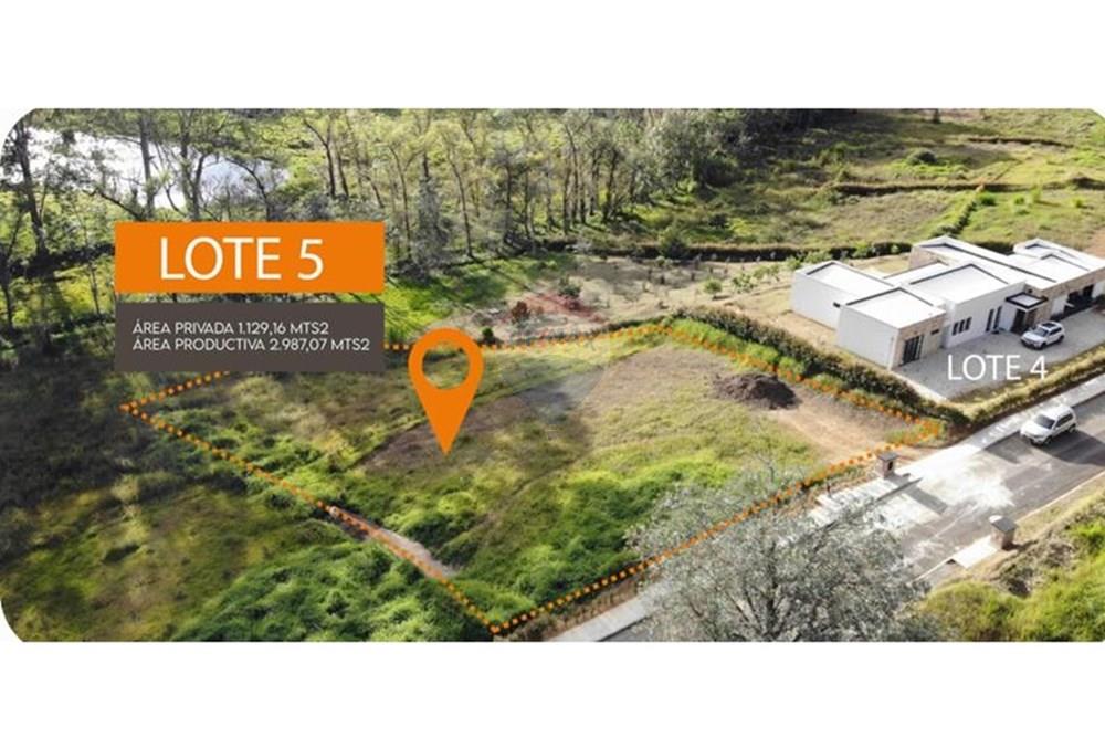 Residential - Land - Antioquia, Rionegro - CO - lote #5.jpeg - 660471155-461
