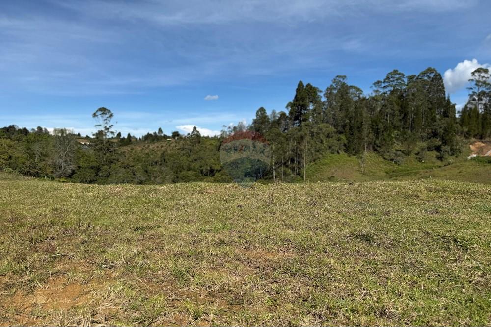 Residential - Land - Antioquia, Rionegro - CO - WhatsApp Image 2025-08-25 at 2.57.00 PM (4).jpeg - 660471155-450