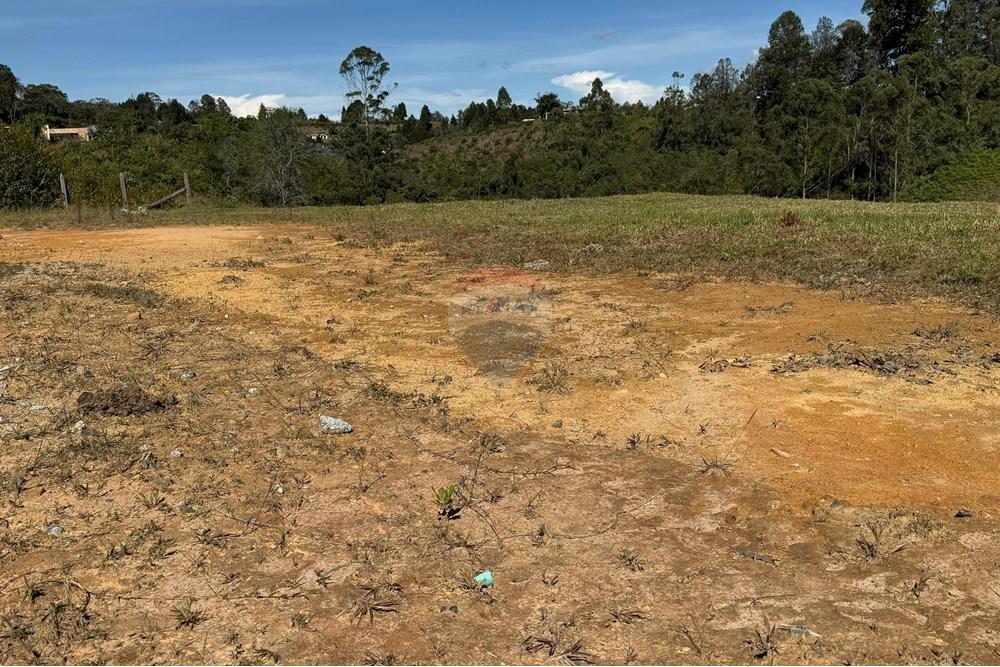 Residential - Land - Antioquia, Rionegro - CO - WhatsApp Image 2025-08-25 at 2.57.00 PM.jpeg - 660471155-450