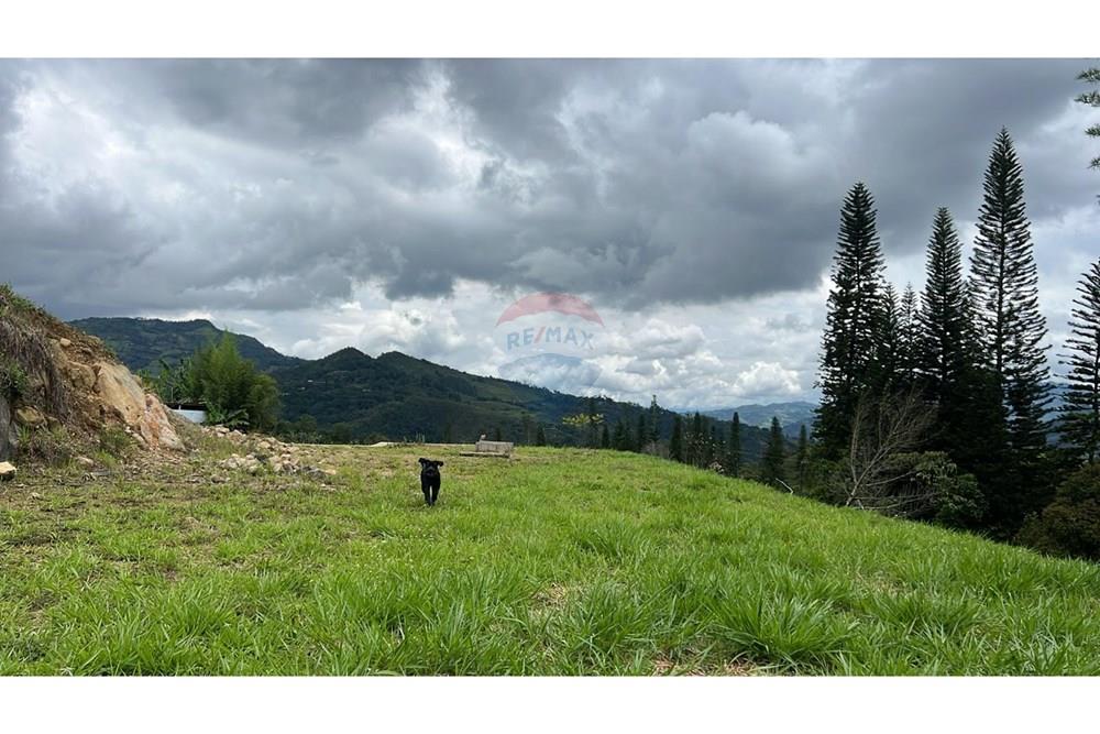 Residenční - Pozemek - Cundinamarca, La Vega - CO - 2.jpg - 660271147-19