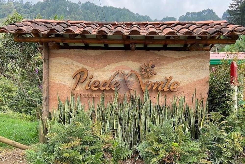 Residential - Lahan - Antioquia, Jardín - CO - WhatsApp Image 2025-10-12 at 8.09.16 AM (2).jpeg - 660471162-42