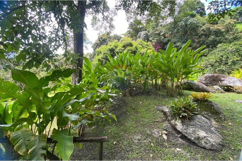 Residential - Farmhouse - Antioquia, Girardota - CO - WhatsApp Image 2025-10-05 at 2.02.14 PM (31).jpeg - 660471155-448