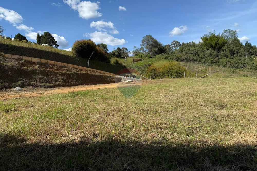 Residential - Land - Antioquia, Rionegro - CO - WhatsApp Image 2025-08-25 at 2.57.00 PM (2).jpeg - 660471155-450