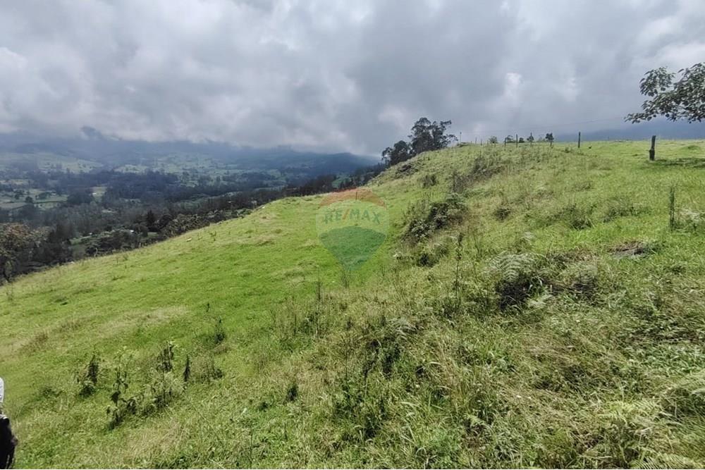 Residencial - Terreno - Cundinamarca, Pacho - CO - Imagen de WhatsApp 2025-03-27 a las 14.18.26_4bc5c13e.jpg - 660541055-24