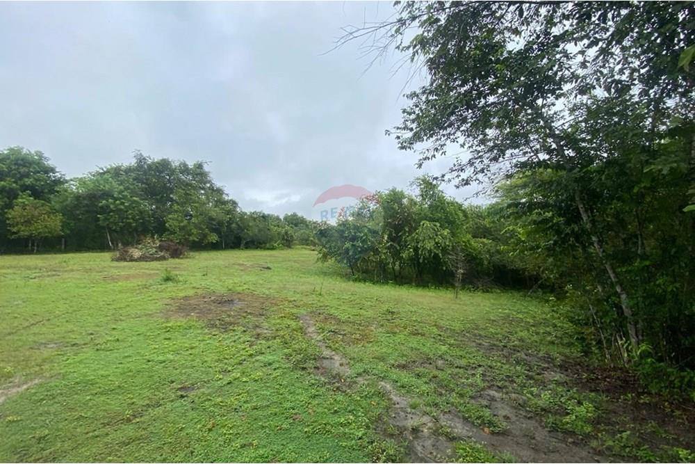 Residenční - Pozemek - Tolima, Guamo - CO - IMG-20250512-WA0004.jpg - 660361056-32