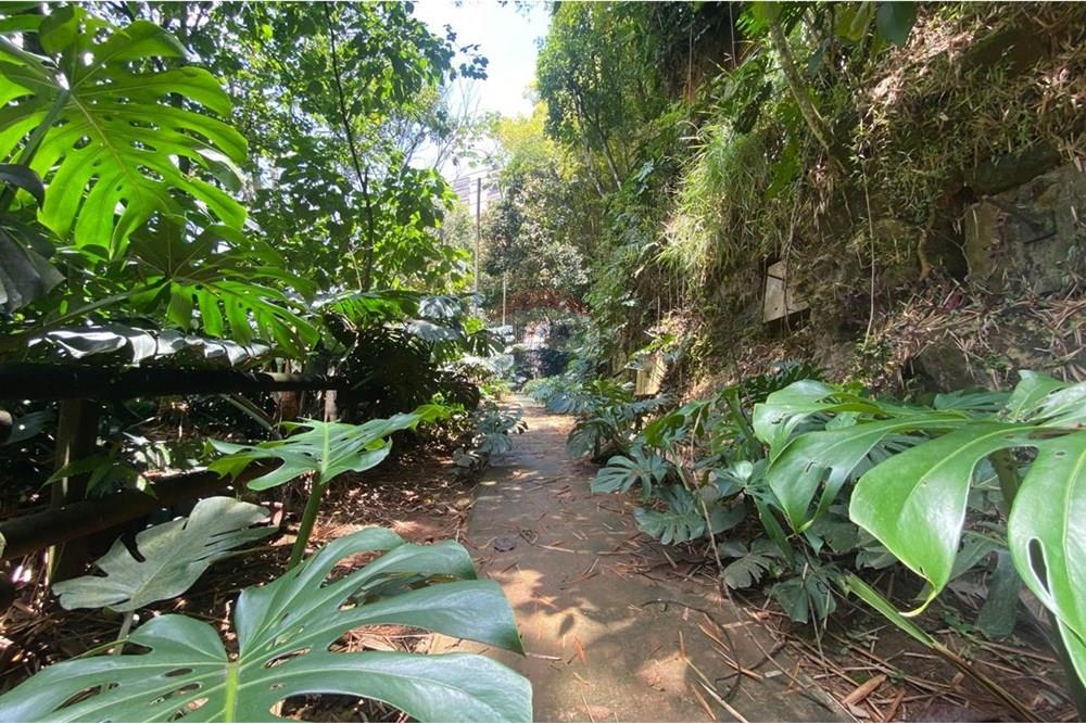 Residential - Condo/Apartment - Antioquia, Envigado - CO - WhatsApp Image 2025-10-05 at 5.51.32 PM.jpeg - 660471155-442