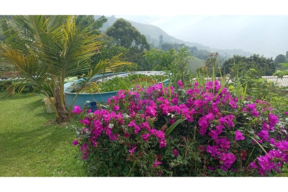 Residential - Farm - Antioquia, Girardota - CO - IMG-20251128-WA0036.jpg - 660471155-246