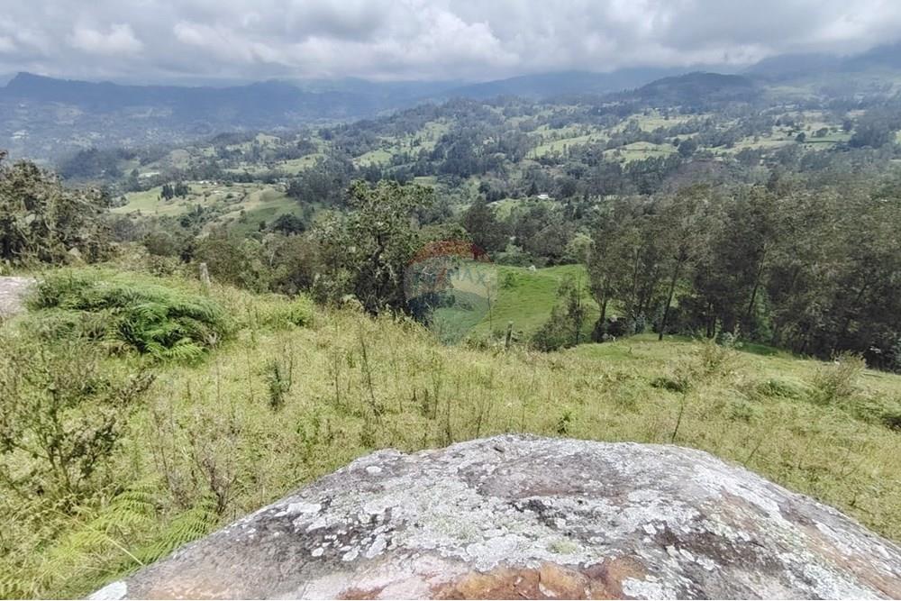 Residencial - Terreno - Cundinamarca, Pacho - CO - Imagen de WhatsApp 2025-03-27 a las 14.18.28_16715063.jpg - 660541055-24