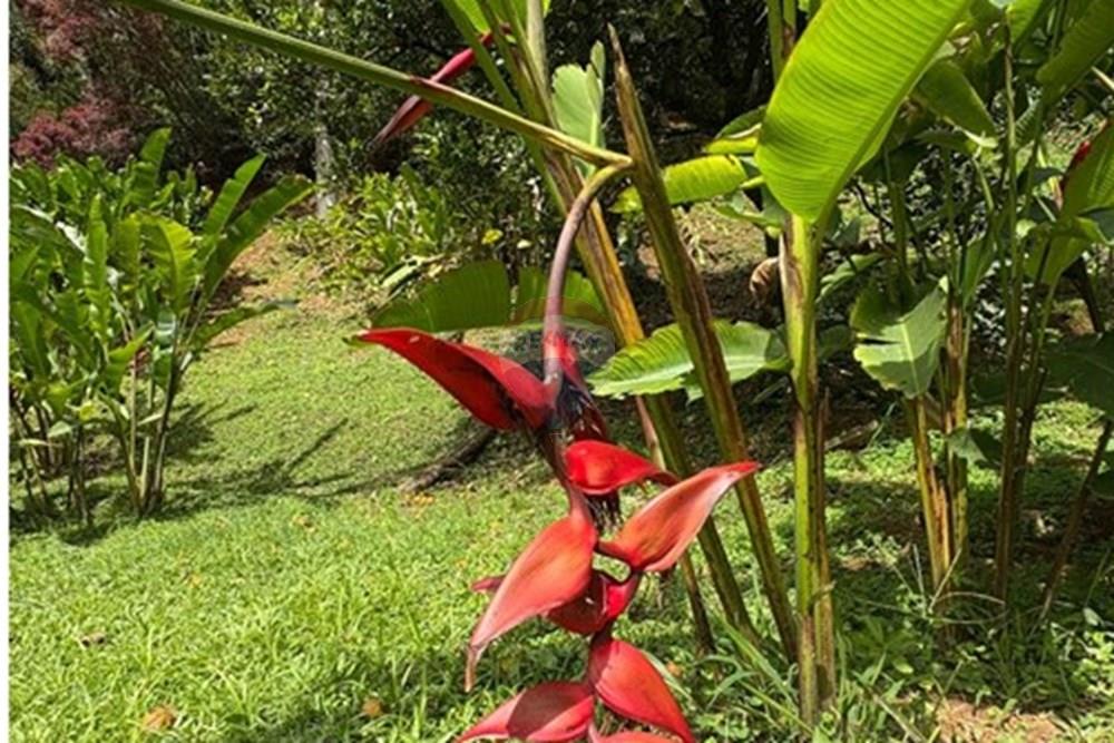 Residential - Farmhouse - Antioquia, Girardota - CO - 8.jpeg - 660471155-448