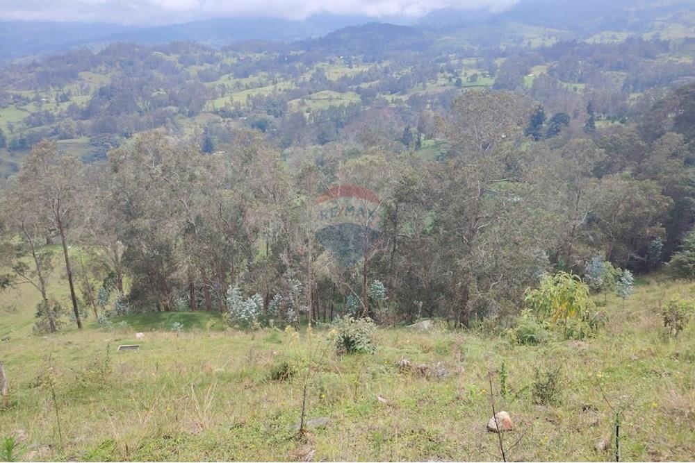 Residencial - Terreno - Cundinamarca, Pacho - CO - Imagen de WhatsApp 2025-03-27 a las 14.18.25_599f9207.jpg - 660541055-24