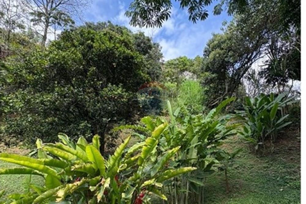 Residential - Farmhouse - Antioquia, Girardota - CO - 6.jpeg - 660471155-448