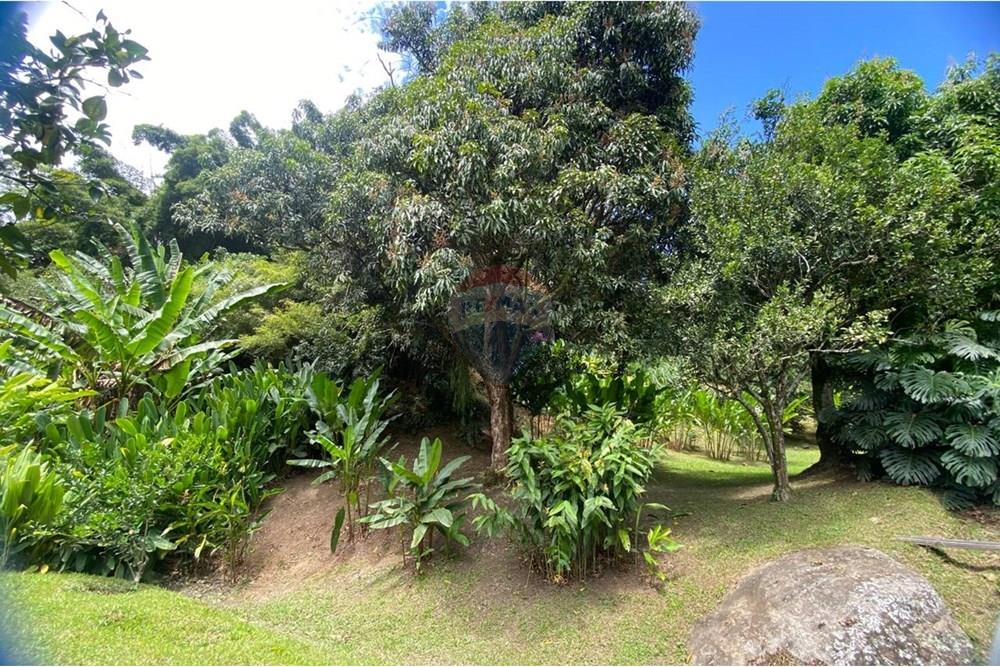 Residential - Farmhouse - Antioquia, Girardota - CO - WhatsApp Image 2025-10-05 at 2.02.14 PM (25).jpeg - 660471155-448