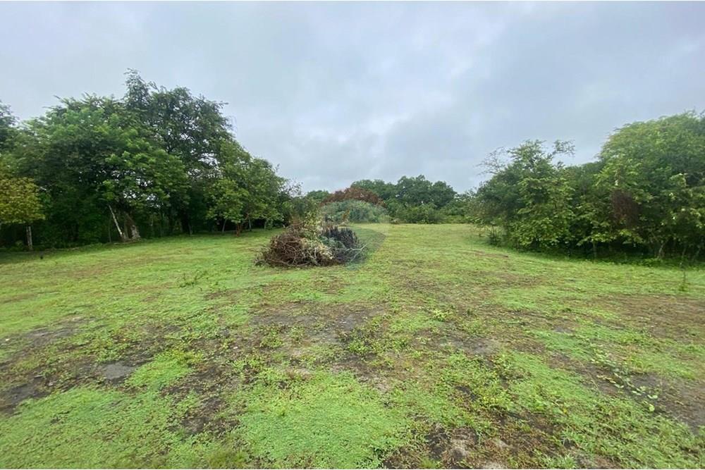 Residenční - Pozemek - Tolima, Guamo - CO - IMG-20250512-WA0002.jpg - 660361056-32