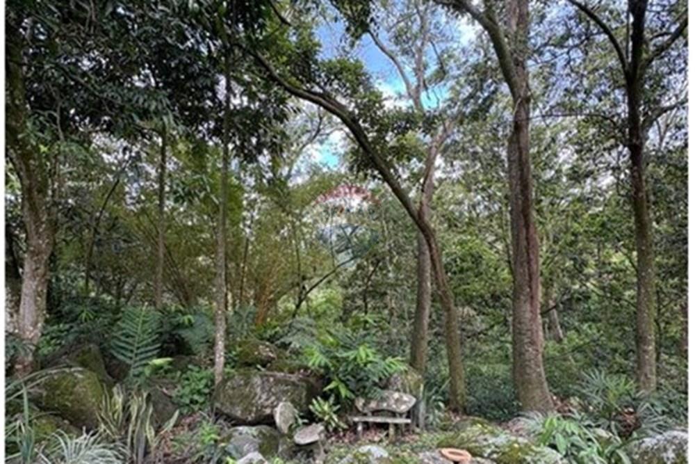 Residential - Farmhouse - Antioquia, Girardota - CO - 4.jpeg - 660471155-448