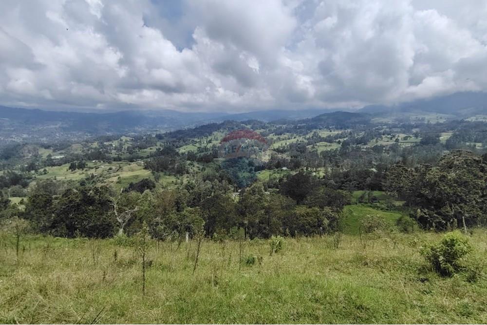 Residencial - Terreno - Cundinamarca, Pacho - CO - Imagen de WhatsApp 2025-03-27 a las 14.18.28_fdee306d.jpg - 660541055-24