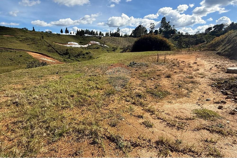 Residential - Land - Antioquia, Rionegro - CO - WhatsApp Image 2025-08-25 at 2.56.59 PM (3).jpeg - 660471155-450