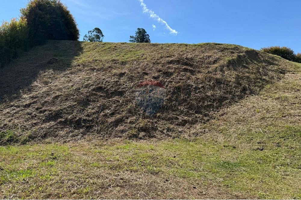 Residential - Land - Antioquia, Rionegro - CO - WhatsApp Image 2025-08-25 at 2.57.01 PM (1).jpeg - 660471155-450