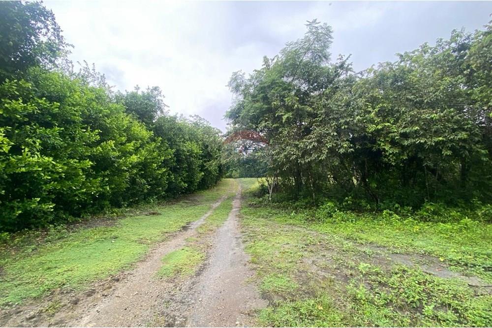 Residenční - Pozemek - Tolima, Guamo - CO - IMG-20250512-WA0005.jpg - 660361056-32