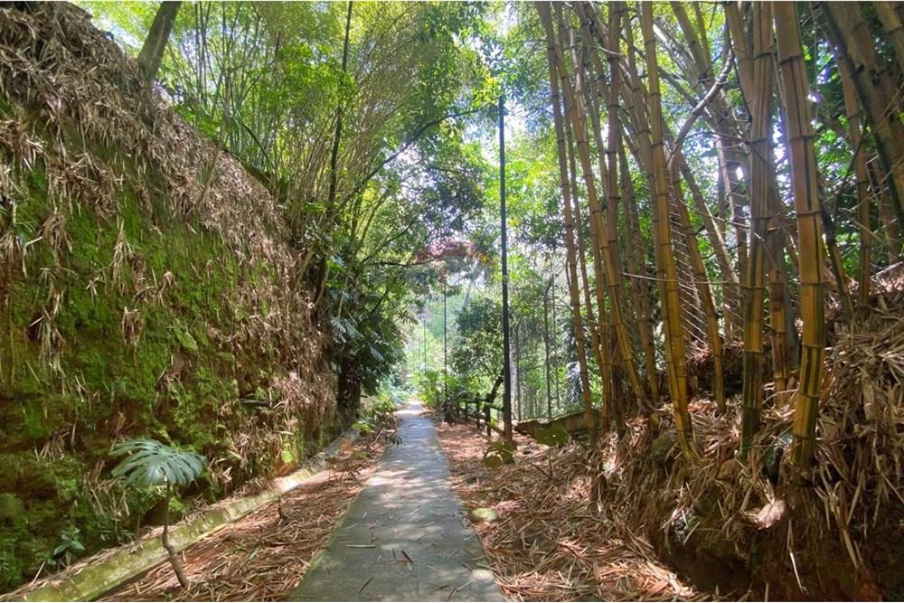 Residential - Condo/Apartment - Antioquia, Envigado - CO - WhatsApp Image 2025-10-05 at 5.51.29 PM (1).jpeg - 660471155-442