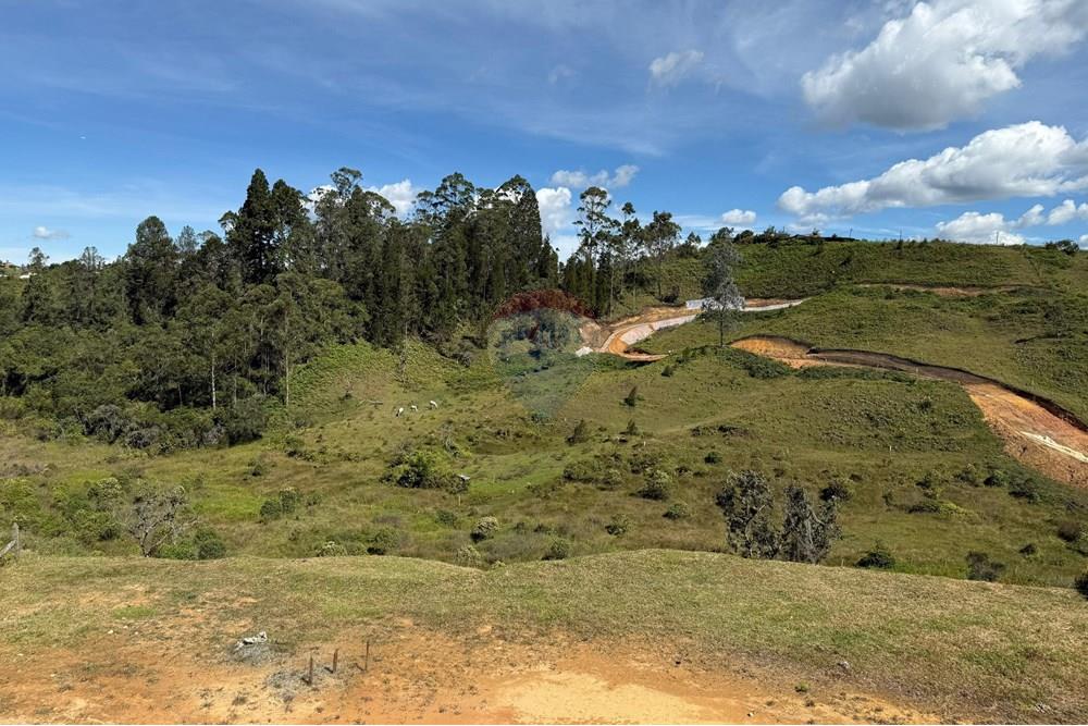 Residential - Land - Antioquia, Rionegro - CO - WhatsApp Image 2025-08-25 at 2.56.59 PM (2).jpeg - 660471155-450