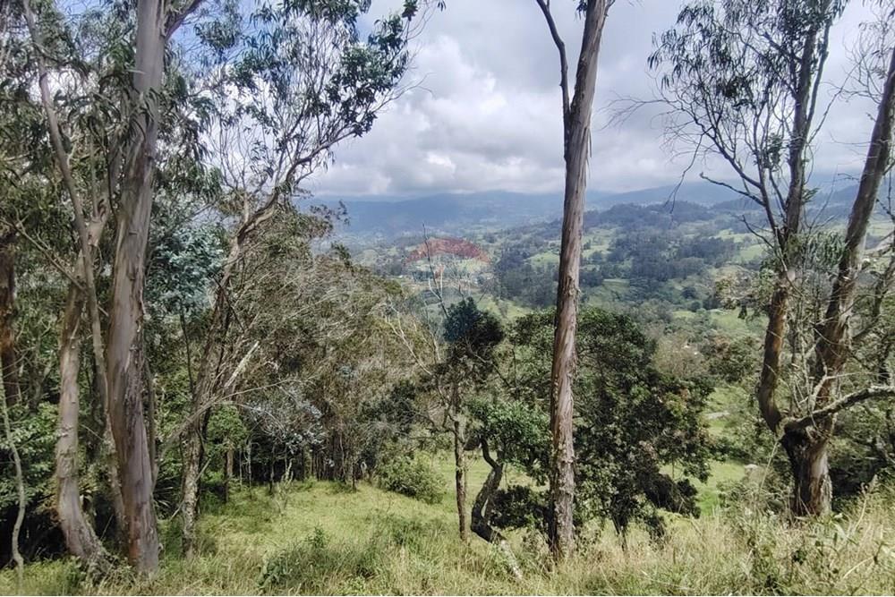 Residencial - Terreno - Cundinamarca, Pacho - CO - Imagen de WhatsApp 2025-03-27 a las 14.18.27_5ae7dccb.jpg - 660541055-24