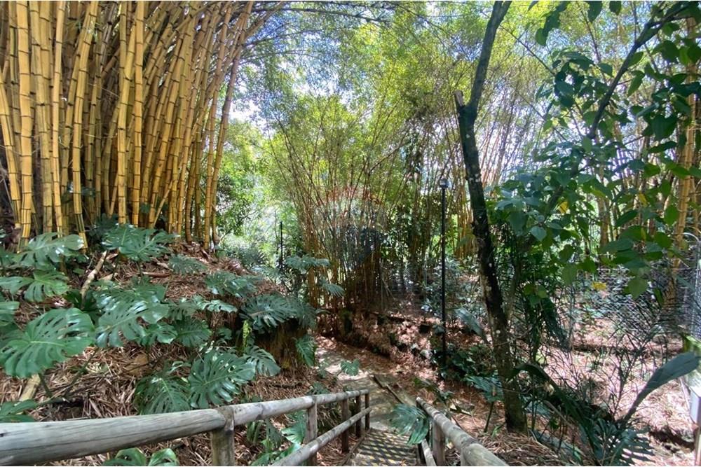 Residential - Condo/Apartment - Antioquia, Envigado - CO - WhatsApp Image 2025-10-05 at 5.51.29 PM.jpeg - 660471155-442