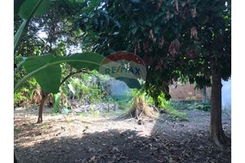 Terreno - Venda - Rio de Janeiro , Rio de Janeiro - IMG_8622.jpg - 680371047-73