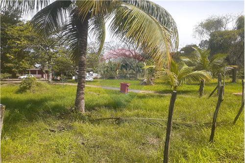 For Sale-Land-Estrada da Grama , 4436  - Magarça  - Guaratiba , Rio de Janeiro , Rio de Janeiro , 23033-220-680331038-7