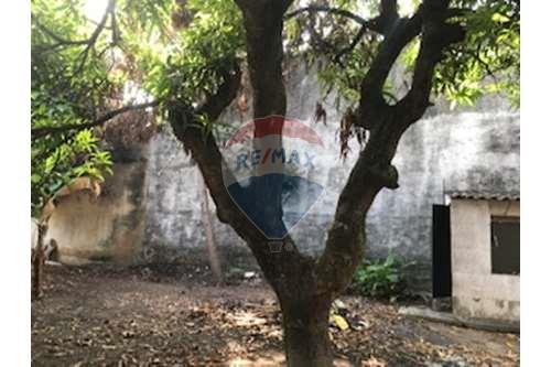 Terreno - Venda - Rio de Janeiro , Rio de Janeiro - IMG_8620.jpg - 680371047-73