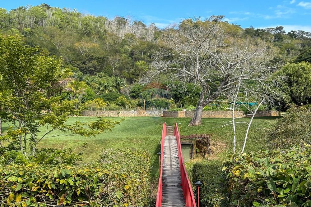 Chácara / Sítio / Fazenda - Venda - Bananal , São Paulo - Foto (129).jpg - 680291006-268