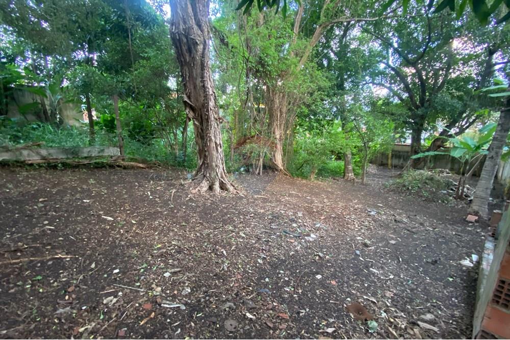 Casa - Venda - Rio de Janeiro , Rio de Janeiro - WhatsApp Image 2025-04-25 at 11.38.43 (2).jpeg - 680331047-37