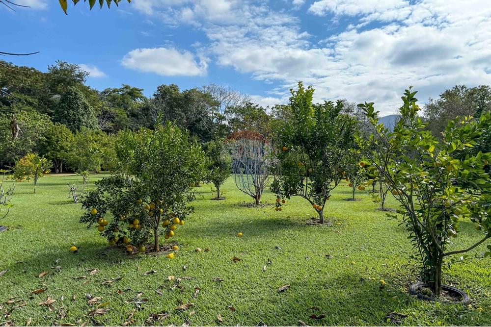 Chácara / Sítio / Fazenda - Venda - Bananal , São Paulo - Foto (136).jpg - 680291006-268