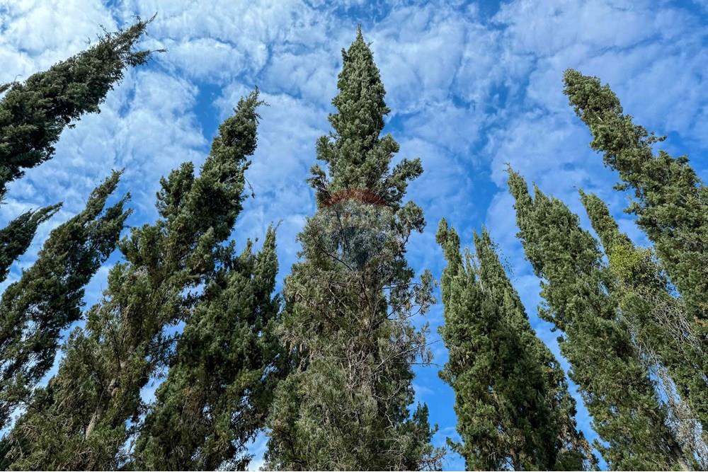 Chácara / Sítio / Fazenda - Venda - Bananal , São Paulo - Foto (143).jpg - 680291006-268