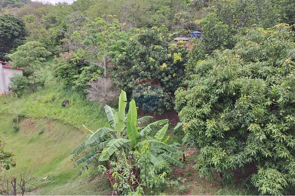 Chácara / Sítio / Fazenda - Venda - Rio de Janeiro , Rio de Janeiro - 28.jpg - 680331011-128