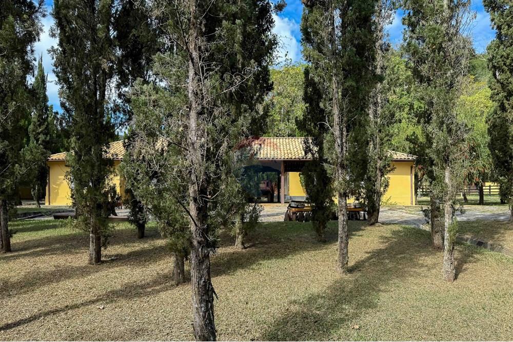 Chácara / Sítio / Fazenda - Venda - Bananal , São Paulo - Foto (142).jpg - 680291006-268