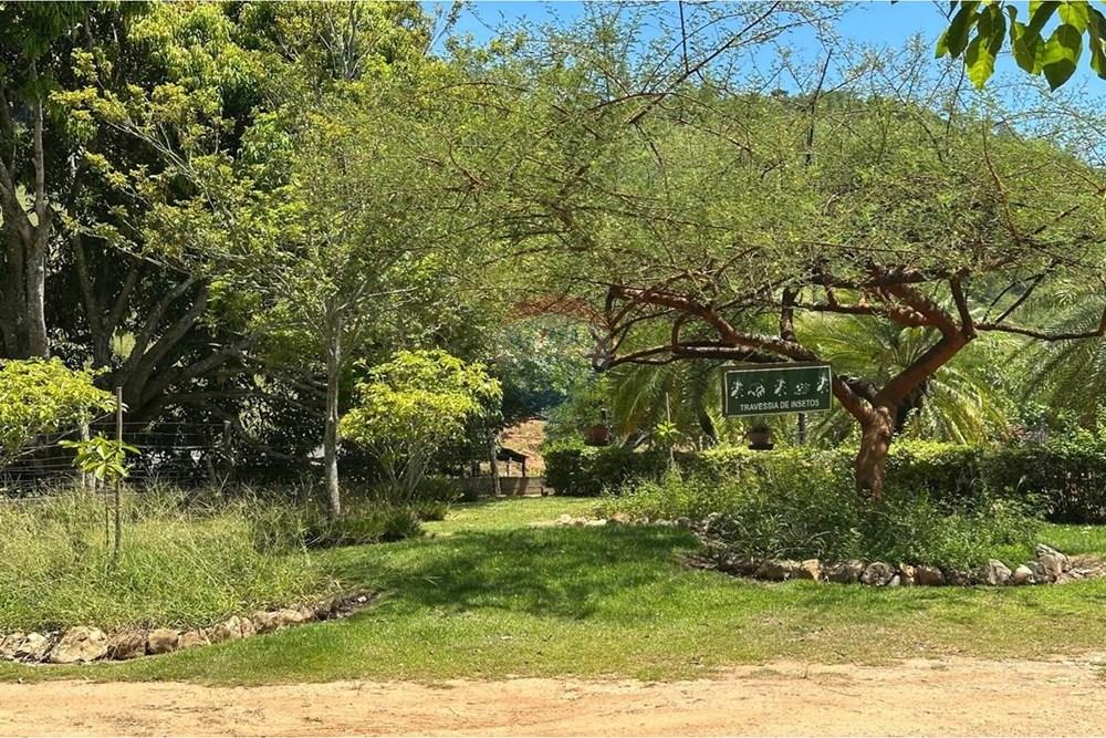 Chácara / Sítio / Fazenda - Venda - Rio Bonito , Rio de Janeiro - 47.jpg - 680311080-7