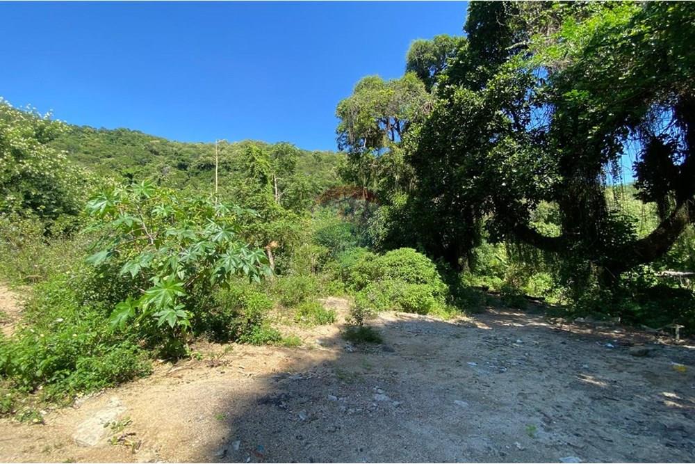 Terreno - Venda - Rio de Janeiro , Rio de Janeiro - WhatsApp Image 2025-05-31 at 09.11.47 (2).jpeg - 680331009-385