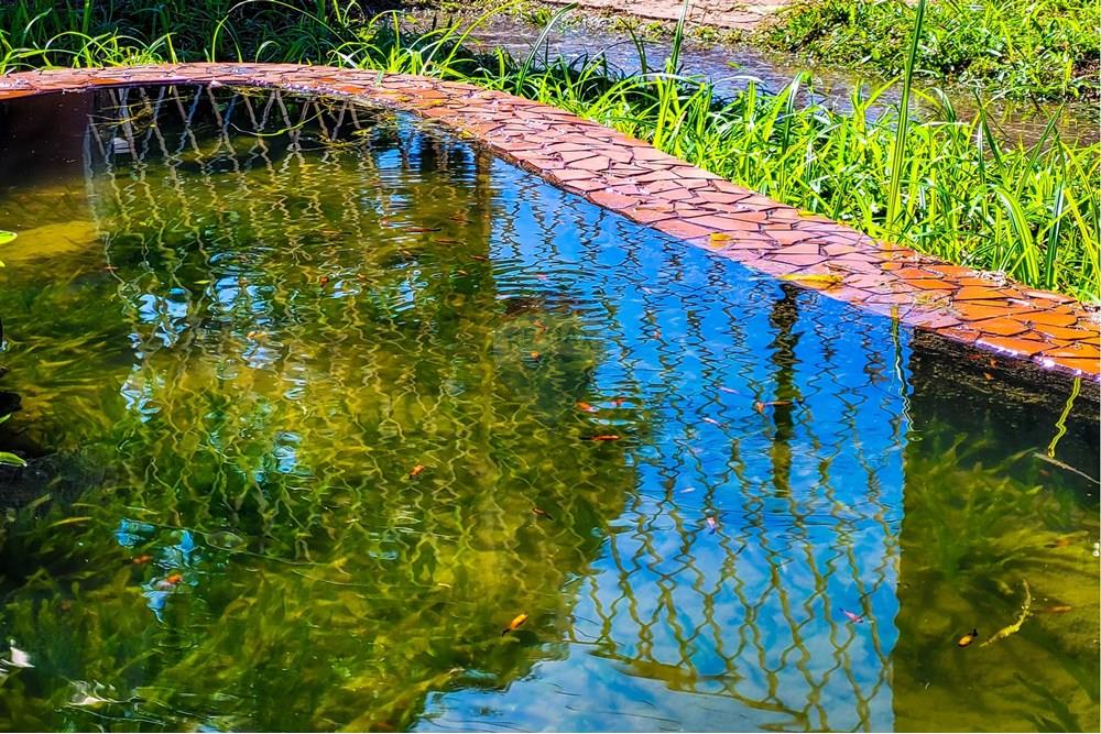 Casa - Venda - Rio de Janeiro , Rio de Janeiro - 04.jpg - Jardim Externo - 680331006-276