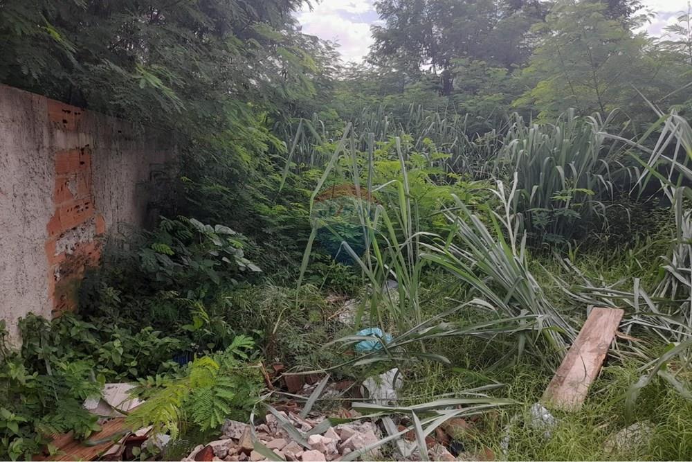 Terreno - Venda - Rio de Janeiro , Rio de Janeiro - foto tereno6.jpg - 680331009-412